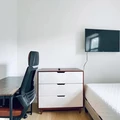 Coliving in Bushwick - Brooklyn, New York