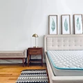 Coliving in Prospect Lefferts Gardens - Brooklyn, New York