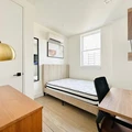 Coliving in Crown Heights - Brooklyn, New York