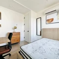 Coliving in Crown Heights - Brooklyn, New York