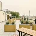 Coliving in Bushwick - Brooklyn, New York
