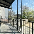 Coliving in Bushwick - Brooklyn, New York