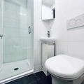 Coliving in Crown Heights - Brooklyn, New York