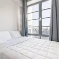 Coliving in Prospect Lefferts Gardens - Brooklyn, New York