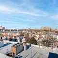 Coliving in Prospect Lefferts Gardens - Brooklyn, New York
