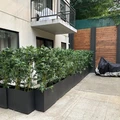 Coliving in Bushwick - Brooklyn, New York
