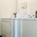 Coliving in Clinton Hill - Brooklyn, New York