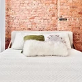 Coliving in Ridgewood - Queens, New York