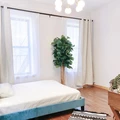 Coliving in Crown Heights - Brooklyn, New York