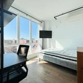 Coliving in Prospect Lefferts Gardens - Brooklyn, New York