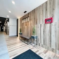 Coliving in Prospect Lefferts Gardens - Brooklyn, New York