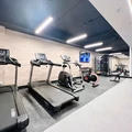 Coliving in Prospect Lefferts Gardens - Brooklyn, New York
