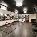 Coliving in Prospect Lefferts Gardens - Brooklyn, New York