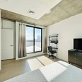 Coliving in Prospect Lefferts Gardens - Brooklyn, New York