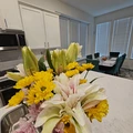 Room for rent in Plano #3