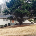Coliving in Center Hill - West Atl, Atlanta