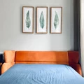 Coliving in Prospect Lefferts Gardens - Brooklyn, New York