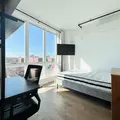 Coliving in Prospect Lefferts Gardens - Brooklyn, New York