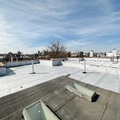 Coliving in Crown Heights - Brooklyn, New York