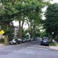 Room for rent in Midwood #6