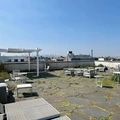 Coliving in Bushwick - Brooklyn, New York