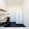 Coliving in Prospect Lefferts Gardens - Brooklyn, New York