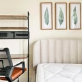Coliving in Crown Heights - Brooklyn, New York