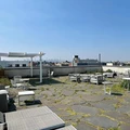 Coliving in Bushwick - Brooklyn, New York
