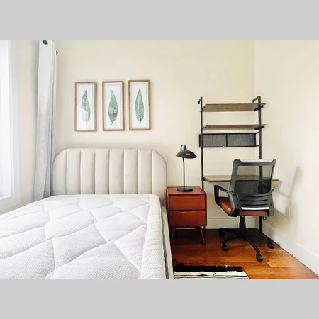 Coliving in Crown Heights - Brooklyn, New York