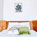Coliving in Crown Heights - Brooklyn, New York