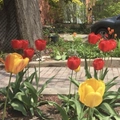 Room for rent in High Park #2