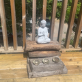 Room for rent in High Park #10
