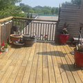 Room for rent in High Park #12