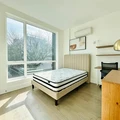 Coliving in Prospect Lefferts Gardens - Brooklyn, New York