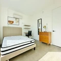Coliving in Prospect Lefferts Gardens - Brooklyn, New York