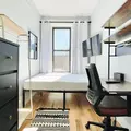 Coliving in Bushwick - Brooklyn, New York