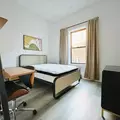Coliving in Crown Heights - Brooklyn, New York