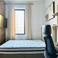 Coliving in Bushwick - Brooklyn, New York