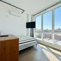 Coliving in Prospect Lefferts Gardens - Brooklyn, New York