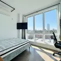 Coliving in Prospect Lefferts Gardens - Brooklyn, New York