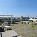 Coliving in Bushwick - Brooklyn, New York