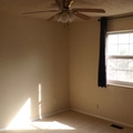 Room for rent in Centennial #3