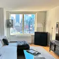 2 bedrooms apartment for rent in Midtown West - Manhattan, New York