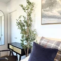 Coliving in Fort Greene - Brooklyn, New York