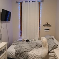 Room for rent in Borough Park #1