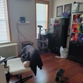 Room for rent in Borough Park #5
