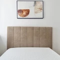 Coliving in Prospect Lefferts Gardens - Brooklyn, New York