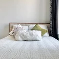 Coliving in Bushwick - Brooklyn, New York