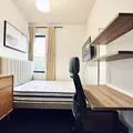 Coliving in Bushwick - Brooklyn, New York