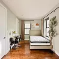 Coliving in Crown Heights - Brooklyn, New York